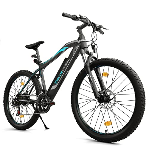 BLUEWHEEL E-Bike I Elektrofahrrad Pedelec für Herren I StVZO I Deutsche Qualitätsmarke | EU-konform E-Fahrrad | 250 W Hinterradmotor...